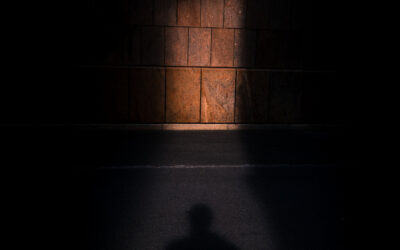 Pourquoi et comment photographier?