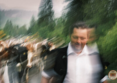 Flou artistique de vaches et d'un agriculteur en Suisse